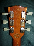 Gold Top Headstock (rear)